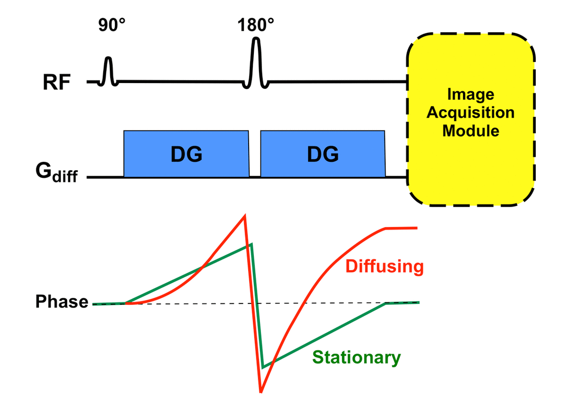 Stejskal-Tanner pulsed-gradient diffusion sequence